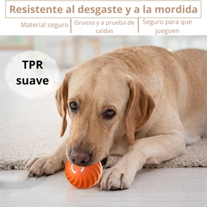 Pelota interactiva para mascotas